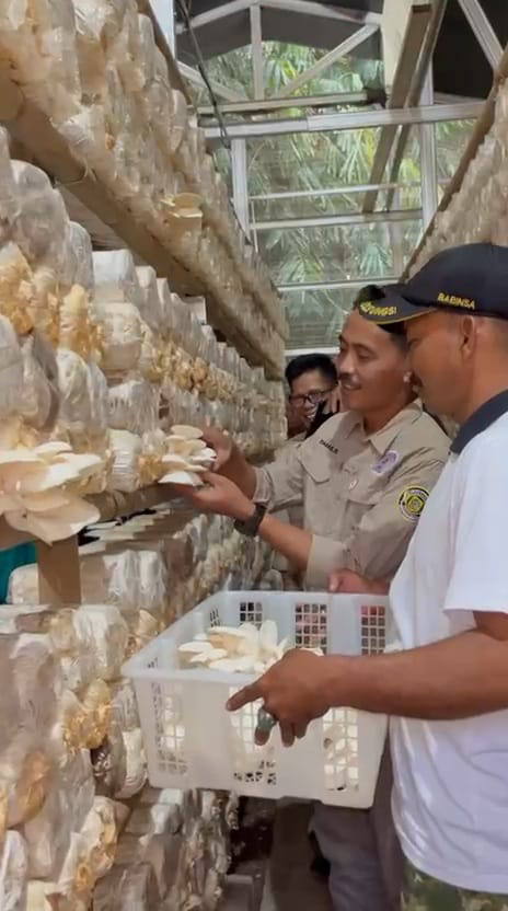 BUMDes Sinar Gemilang Desa Pasirangin