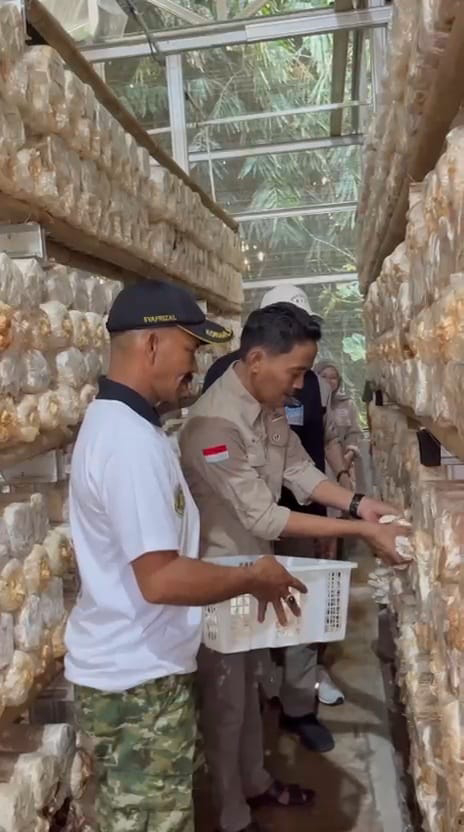 BUMDes Sinar Gemilang Desa Pasirangin