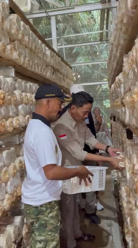 Dokumentasi Gemilang Agro Lestari